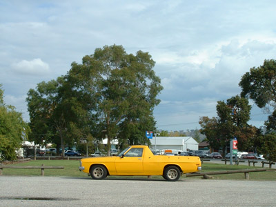 yellow_ute_trees.jpg
